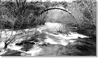 Os salgueiros resisten ata no medio do ro. Ro Umia. Ponte do Areal.